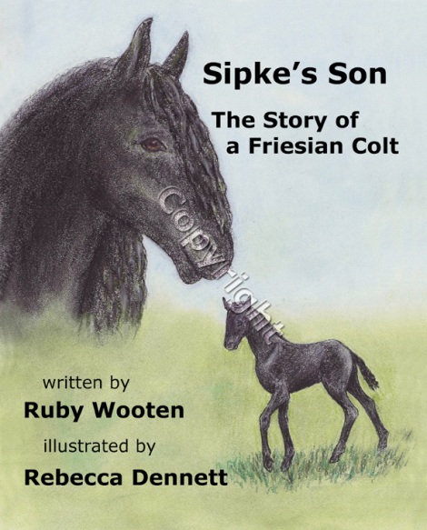 The Story of a Friesian Colt